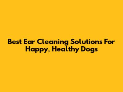 Best Ear Cleaning Solutions For Happy, Healthy Dogs